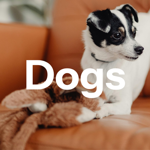 Dogs - All