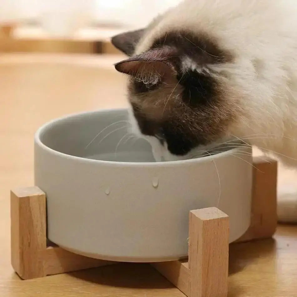 Large Capacity Pet Bowl for Cats and Dogs Wooden Rack Ceramic Cat Food and Water Feeder Home Pet Accessories