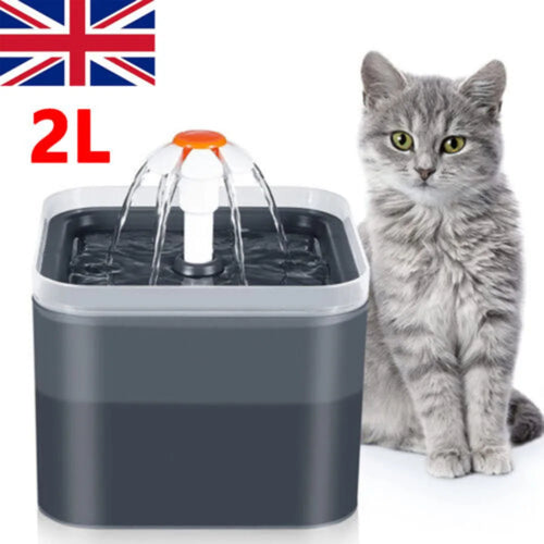 2L Cat Water Fountain Pet Drinking Bowl with LED Light & Activated Carbon Filter