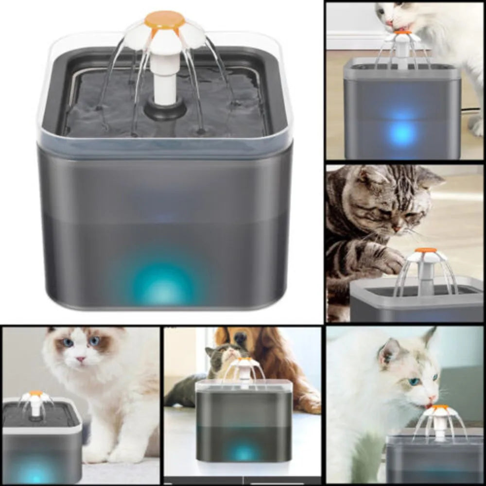 2L Cat Water Fountain Pet Drinking Bowl with LED Light & Activated Carbon Filter