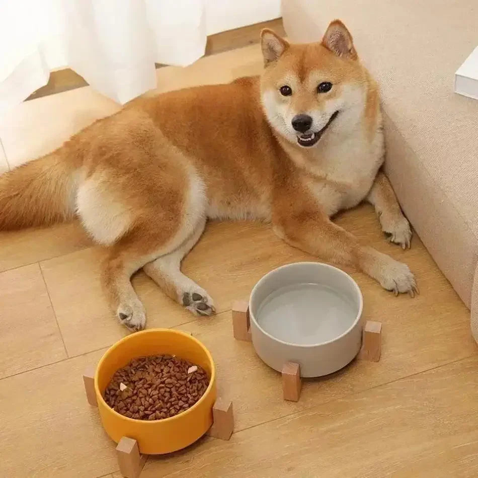 Large Capacity Pet Bowl for Cats and Dogs Wooden Rack Ceramic Cat Food and Water Feeder Home Pet Accessories