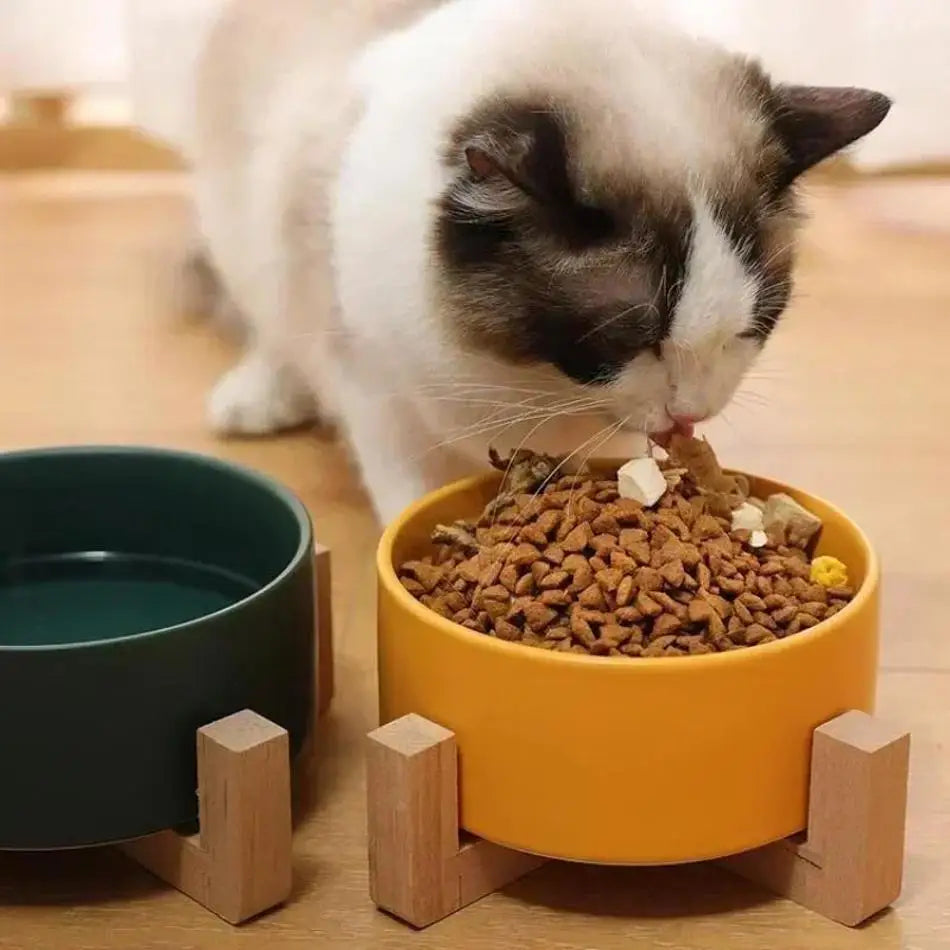 Large Capacity Pet Bowl for Cats and Dogs Wooden Rack Ceramic Cat Food and Water Feeder Home Pet Accessories