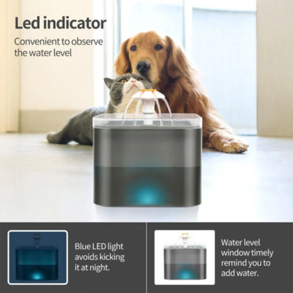 2L Cat Water Fountain Pet Drinking Bowl with LED Light & Activated Carbon Filter