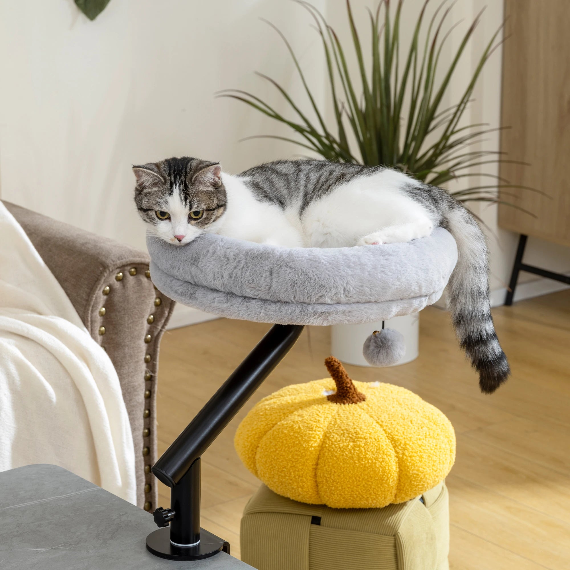 Cat Bed for Desk, 360° Rotatable Adjustable Cat Nest Hammock