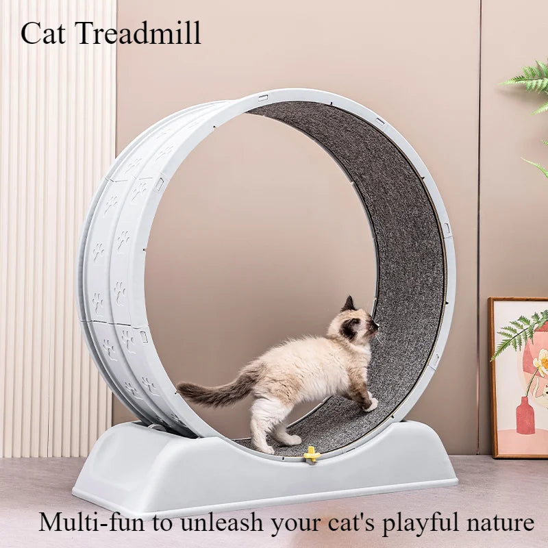 Cat Treadmill-Quiet Low Noise Exercise Wheel with Removable Carpet, Easy Assembly & Fun Running Toy for Indoor Play & Fitness