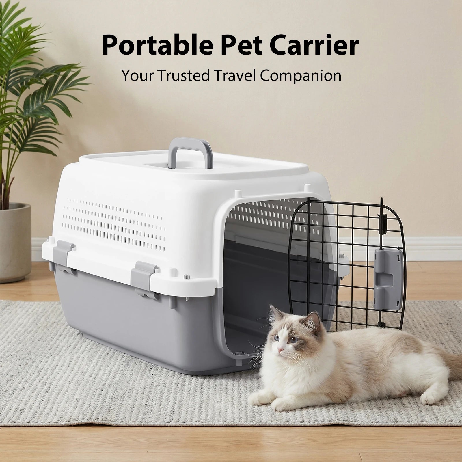 Hard-Sided Cat Carrier Dog Travel Kennel, Two-Door Top-Load Pet Transport Box | Safe & Stable for Cats & Dogs, 57 X 37 X 33Cm