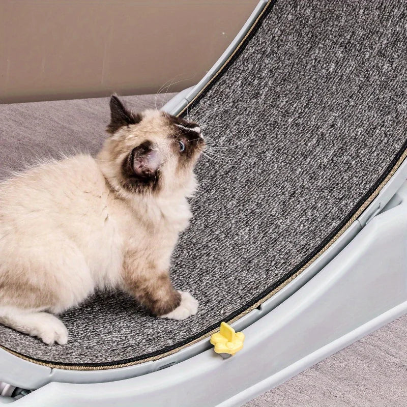 Cat Treadmill-Quiet Low Noise Exercise Wheel with Removable Carpet, Easy Assembly & Fun Running Toy for Indoor Play & Fitness