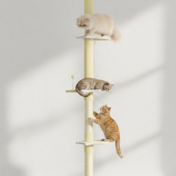 Höjden - 260cm Floor-to-Ceiling Adjustable Cat Tree